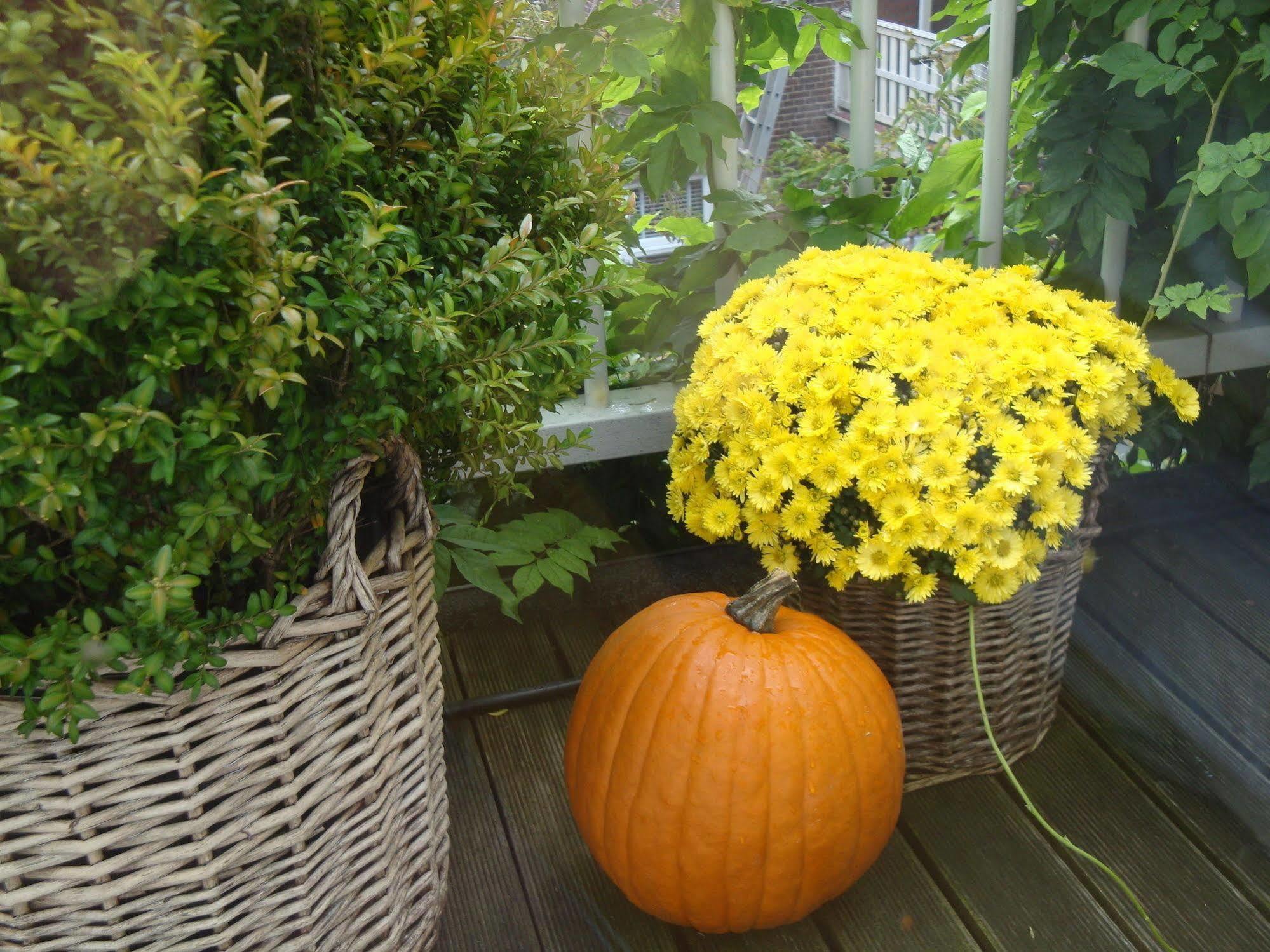 Bed And Breakfast Amsterdam Esterno foto